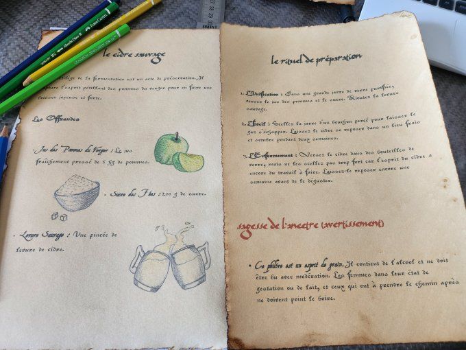 Les Secrets du Chaudron – Recettes Illustrées à l'Unité