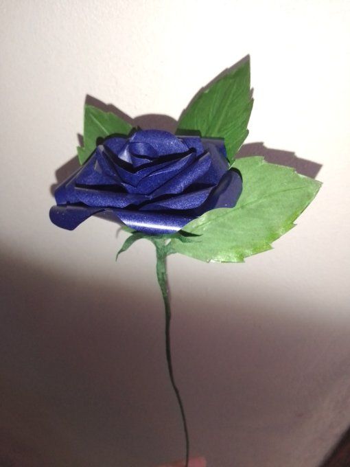 Rose bleue