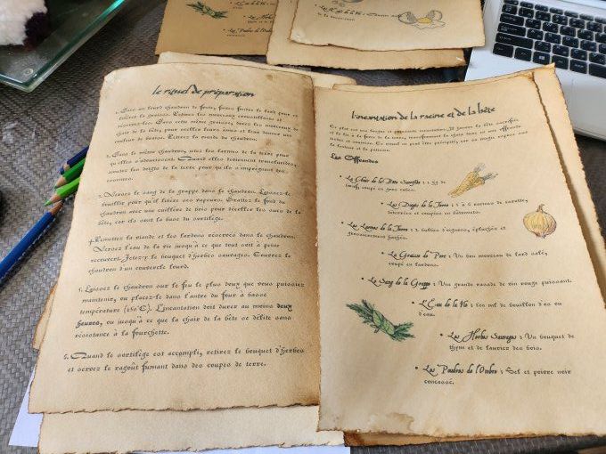 Les Secrets du Chaudron – Recettes Illustrées à l'Unité